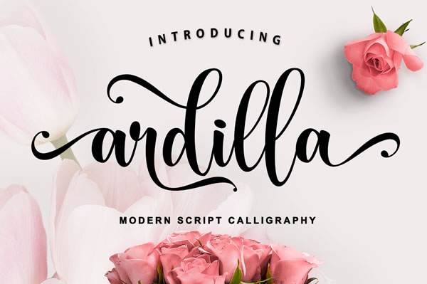 Ardilla Font: A Handwritten Script for Modern Elegance