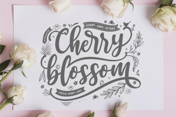 Cherry Blossom Font: A Trio for Fresh, Modern Designs